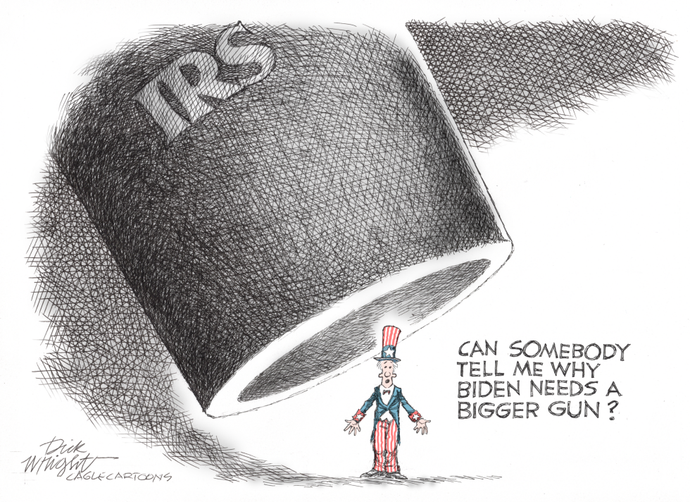 IRS Invasion of Privacy