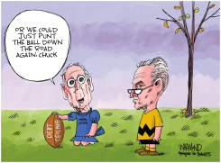 PUNTING THE BALL by Dave Whamond