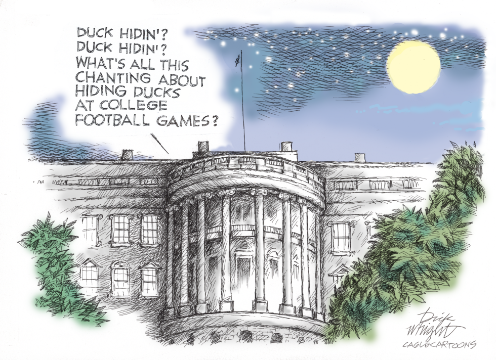 Biden Hiden' Ducks