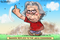 BANNON PIGPEN SUBPOENA by Ed Wexler