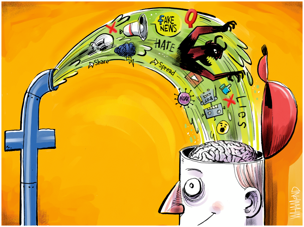 Facebook flow of misinformation