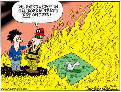 CALIFORNIA - MORE FIRES by Bob Englehart
