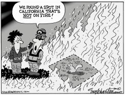 MORE CALIFORNIA FIRES  by Bob Englehart