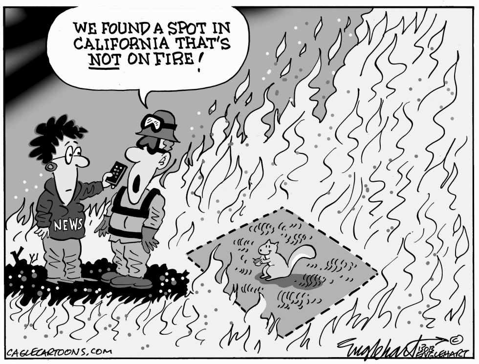 More California Fires
