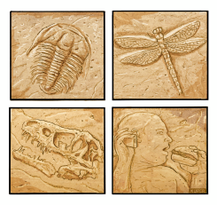 THE SIXTH EXTINCTION by Peter Kuper