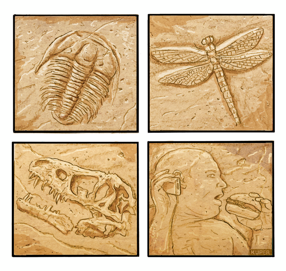 The Sixth Extinction