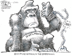 INFLATION IN OUR MIDST by John Darkow