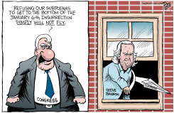THE SUBPOENEES by Bruce Plante