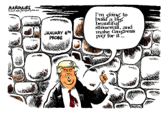 TRUMP STONEWALL JANUARY 6TH by Jimmy Margulies