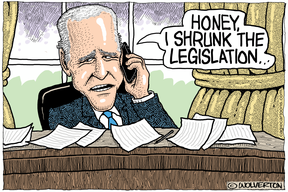 Honey I Shrunk the Legislation