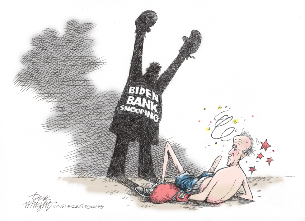 Biden Bank Snooping
