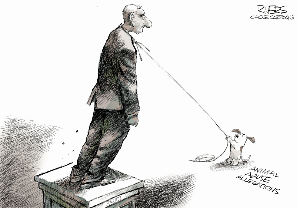Animal Abuse Allegations