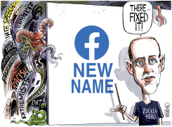 FACEBOOK PUTS ON A NEW FACE by Dave Whamond
