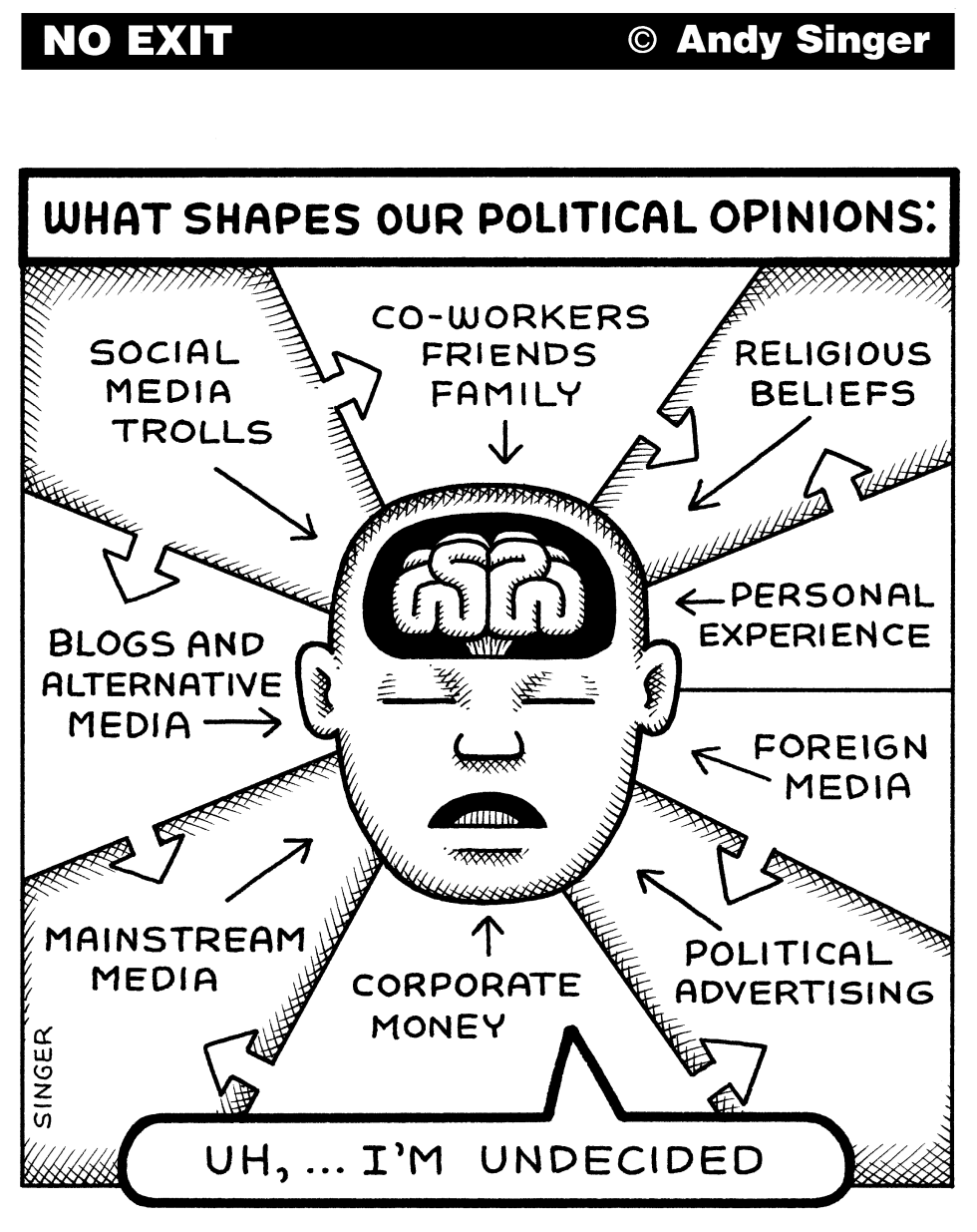 What Shapes Political Opinions