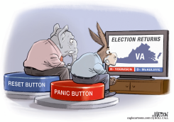VIRGINIA GOVERNOR ELECTION RETURNS by R.J. Matson