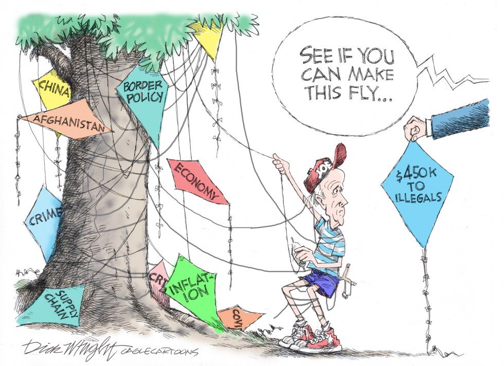 Biden Flying Kites