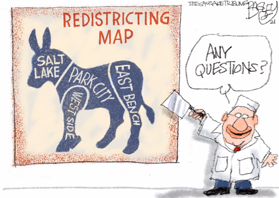 LOCAL: Redistricting Map