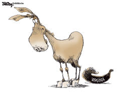 VIRGINIA ELECTION by Bill Day