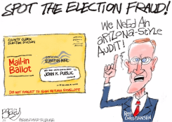 LOCAL: VOTER FRAUD by Pat Bagley