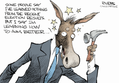 DEMOCRATS LEARNED NOTHING by Rivers