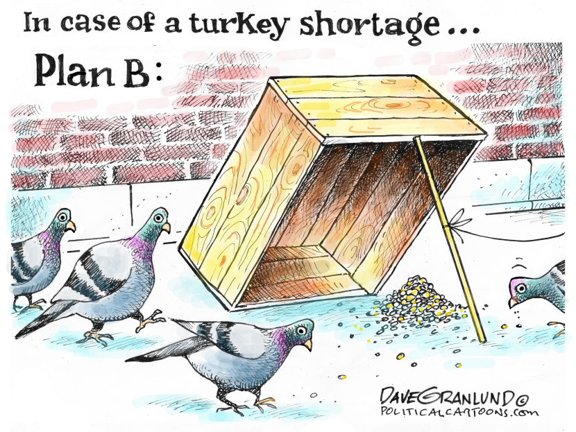 Turkey shortages