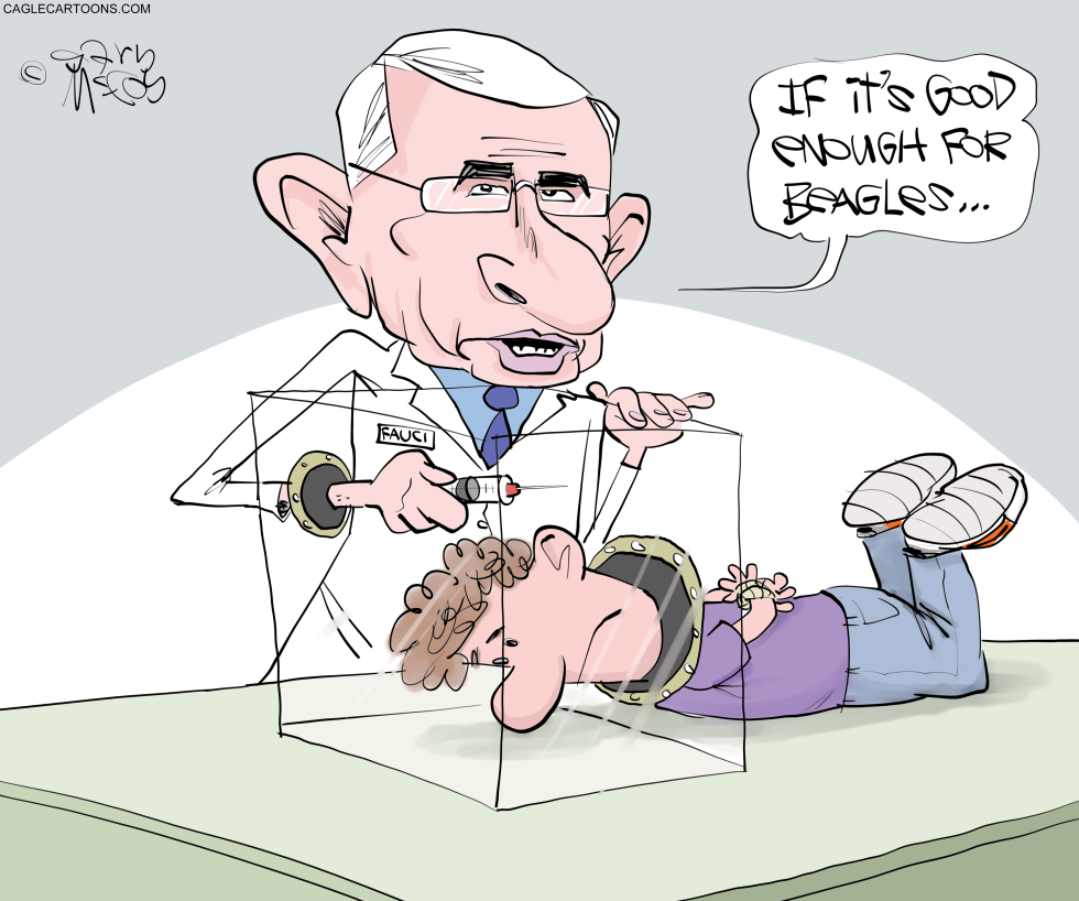 Fauci's Experiment