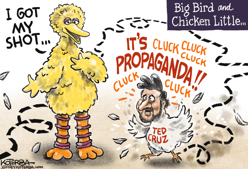 Ted Cruz vs. Big Bird