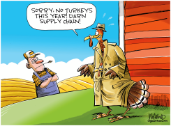 TURKEY SUPPLY CHAIN by Dave Whamond