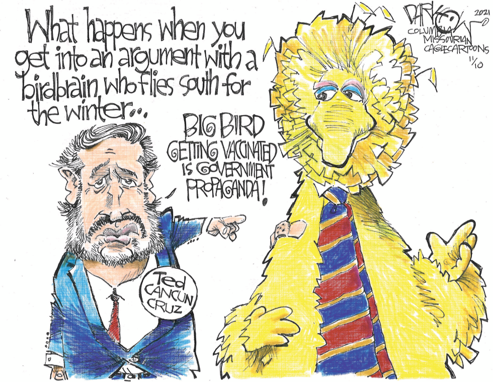 Ted Cruz v. Big Bird