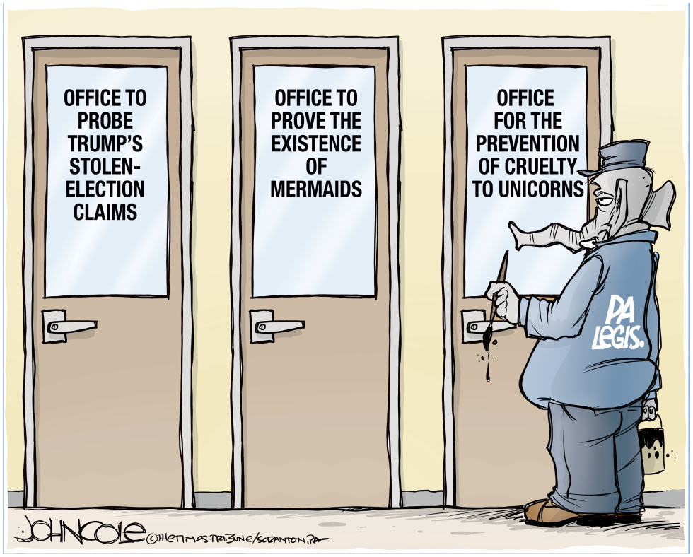 Stolen elections, mermaids and unicorns