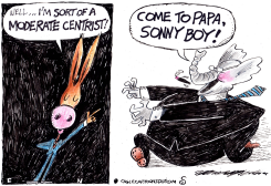 WISHY-WASHY DEMS by Randall Enos