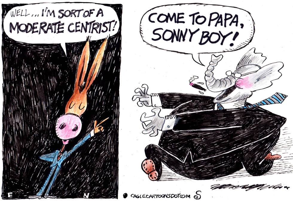 Wishy-Washy Dems