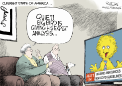 BIG BIRD COVID MEDICAL EXPERT by Rivers