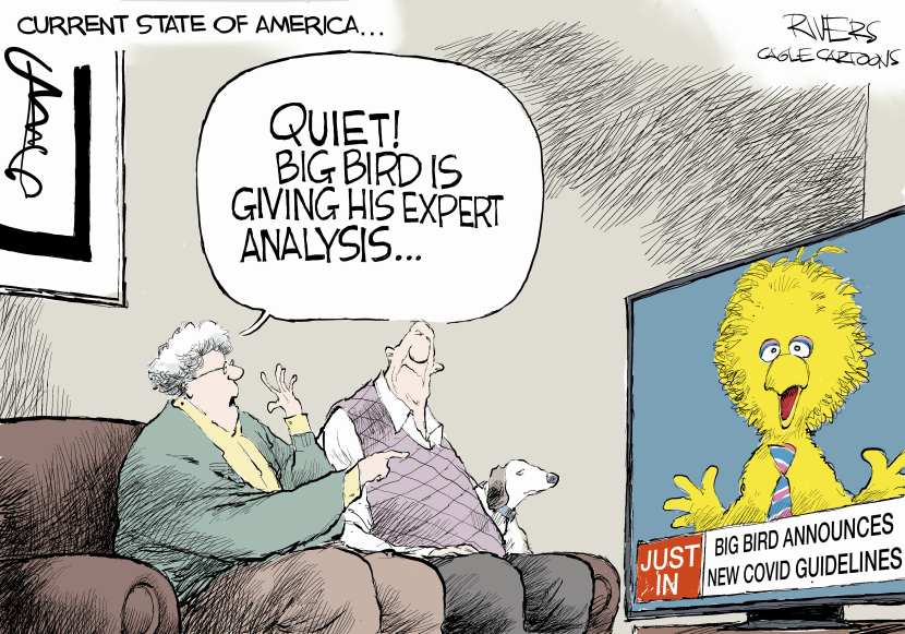 Big Bird Covid Medical Expert