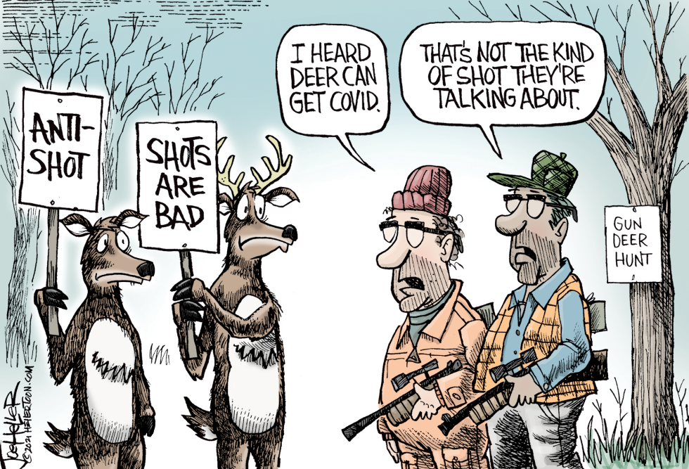 Deer Hunt