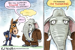 KILLING POLITICAL COLLEAGUES by Ed Wexler