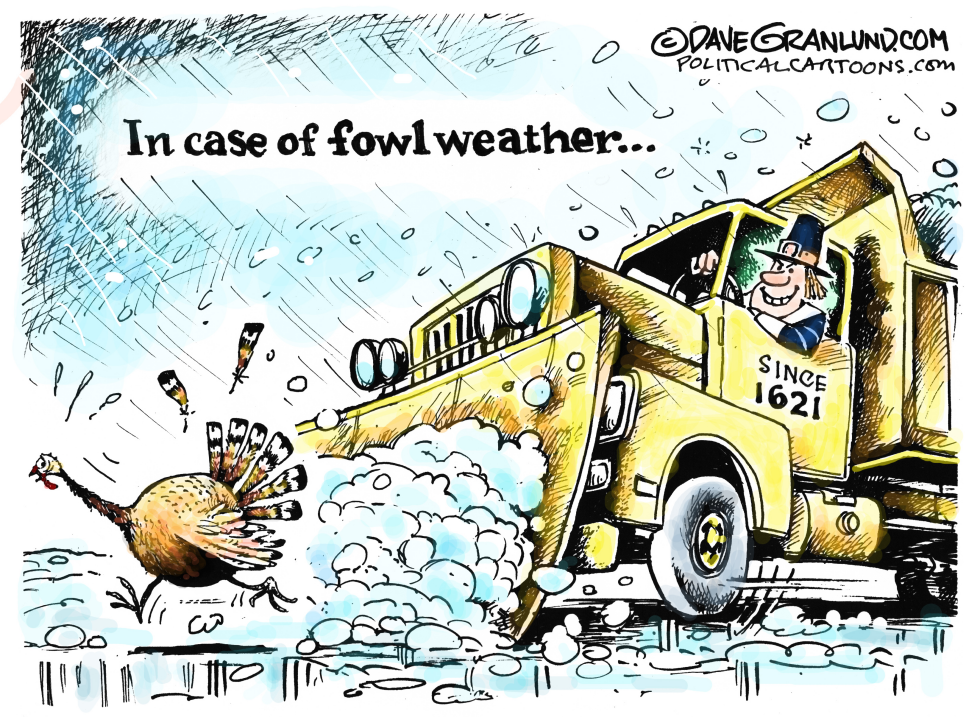 Thanksgiving fowl weather