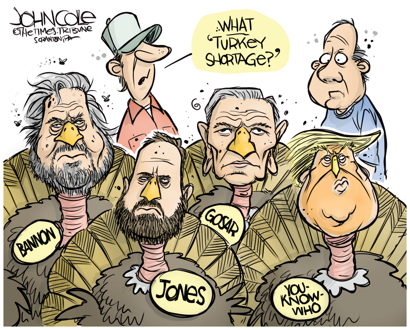 No shortage of turkeys