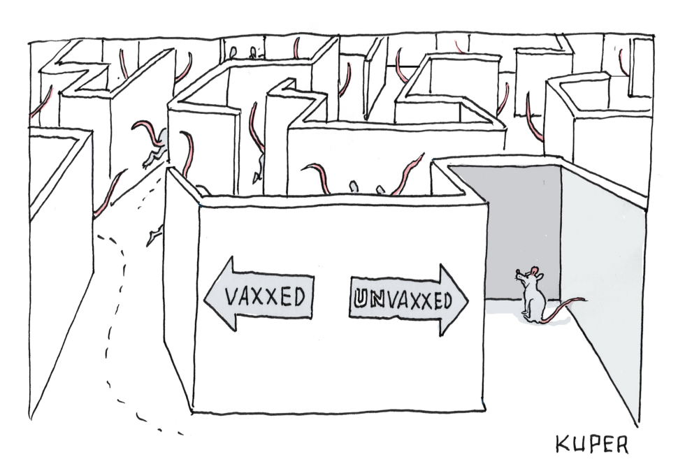 Vaccination Maze