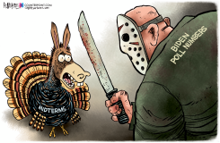 BIDEN POLL NUMBERS by Rick McKee