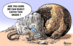 CURBING INFLATION by Paresh Nath