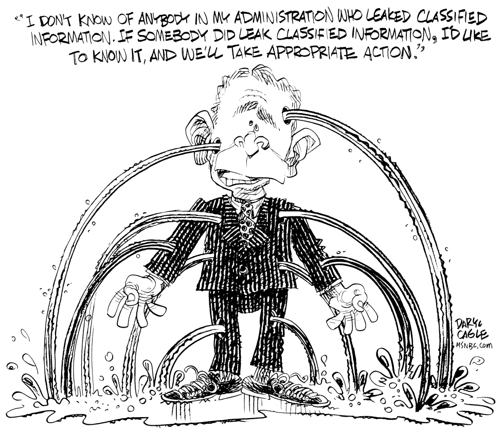Bush Leaks