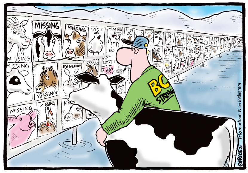 Mounting Losses