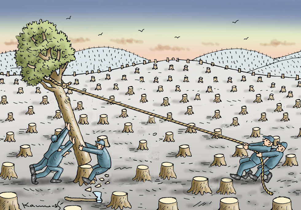 The Last Tree