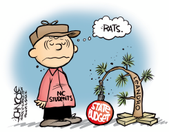 LOCAL NC - LEANDRO-FUNDING TREE by John Cole