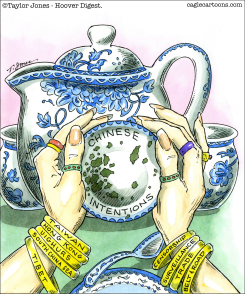 CHINESE TEA LEAVES by Taylor Jones