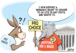 PRO CHOICE REPUBLICAN by R.J. Matson