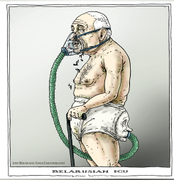 BELARUSIAN INU by Joep Bertrams