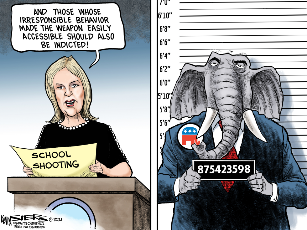 Accessory to Michigan Murder