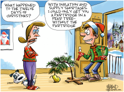 12 DAYS OF CHRISTMAS INFLATION by Dave Whamond